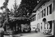 CHATEL-SUR-ROLLE → "Le Marronnier" Fotokarte Anno 1938 - Rolle