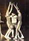 PHOTO BASKET / 1973 - Basket-ball