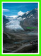 JASPER, ALBERTA - ATHABASCA GLACIER, JASPER NATIONAL PARK - CAROLE HARMON PHOTOS - - Jasper