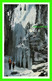 JASPER, ALBERTA - MALIGNE CANYON IN WINTER - TAYLORCHROME - G. MORRIS TAYLOR - - Jasper