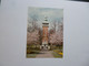 LOUGHBOROUGH  -  Carillon War Memorial  -  Angleterre - Other & Unclassified