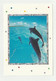 DAUPHIN Carte Postale N° 7 DAUPHINS SAUT ILE TERRE RONDE Cadre Reflets Argentés - Dauphins