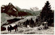 Oberstoffelalm Bei Nesslau - Animals - Cow - 501 - Old Postcard - Switzerland - Used - Nesslau