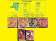 (°) BELGIAN CONGO / CONGO BELGE = NIANGARA VLOORS CANCELS STUDY WITH 6 STAMPS [B] PERIOD 1924/1941 - Variedades Y Curiosidades