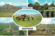 SCENES FROM DARTMOOR, DEVON, ENGLAND. USED POSTCARD Ty3 - Dartmoor