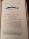 A HISTORY OF BRITISH FISHES - William YARRELL - In Two Volumes. 1859 - Fauna