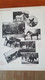 Catalogue Exposition Concours ,  Fetes Poitiers  , 1899 Catalogue Avec Cartes Postales Anciennes   , Assez Rare - Boeken & Catalogi