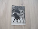 Carte Photo GF George Arles Corrida Luis Miguel Dominguin Taureau - Corrida