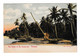 TRINIDAD - The Home Of The Cocoa-nut - UDB Pc 1900s - Trinidad