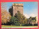 Irlande - Blarney Castle - Cork - R/verso - Cork