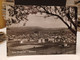 Cartolina Nizza Monferrato Provincia Di Asti Panorama 1955 - Isernia