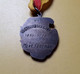 BELGIE BELGIQUE ECHO DE LA DYLE MEDAILLE DE RECONNAISSANCE UIT ERKENTELIJKHEID 1866-1956 MEVROUW FEREMANS 33/24MM - Profesionales / De Sociedad