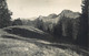 Switzerland Postcard Les Paccots Chatel St. Denis A Corbette 1951 - Châtel-Saint-Denis