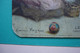 Grand Calendrier 1907 Publicité Tablettes D'ANTIKAMNIA Signée Emma MAGNUS - Groot Formaat: 1901-20