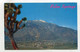 AK 093573 USA - California - Palm Springs - Palm Springs