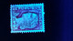 1960 N° 1263  OBLITERE CADRE GRIS  DEPLACER ( SCANNE 3 PAS A VENDRE - Used Stamps