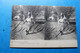 Scenes De Genre Carte Stereoscopique   Laitiere  & Cigale Et La Fourmi   2 X Cpa - Stereoscope Cards