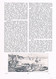 A102 1326 Rügen Nationalpark Jasmund Stubbenkammer Artikel / Bilder 1905 !! - Autres & Non Classés
