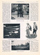 A102 1329 Schliersee Gaufest Oberland Gautrachtenfest Artikel / Bilder 1901 !! - Autres & Non Classés