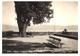 AUBONNE - Terrasse Du CASINO 1932 - Aubonne