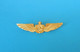 TURKISH AIRLINES - Nice Rare Large Official Pilot Wings Badge * Pilote Turkiye Turkey Türkei Turquie - Crew-Abzeichen