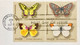 USA 1977, FIRST DAY COVER, 4 DIFFERENT BUTTERFLY, INDIANAPOLIS CITY CANCEL. - Brieven En Documenten