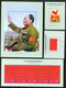 CHINA PRC - Interesting Range Of Non Postal Sheets With Cultural Revolution Stamps. MNH - Lots & Serien