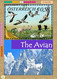 Delcampe - BIRDLIFE ON STAMPS- Ebook-(PDF)-DIGITAL-326 FULLY COLORED-A4-SIZE-ILLUSTRATED BOOK-ISBN-978-93-5659-173-8-EB-01 - Themengebiet Sammeln