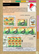 Delcampe - BIRDLIFE ON STAMPS- Ebook-(PDF)-DIGITAL-326 FULLY COLORED-A4-SIZE-ILLUSTRATED BOOK-ISBN-978-93-5659-173-8-EB-01 - Boeken Over Verzamelen