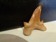 Delcampe - Shark Fossil Tooth. Extint Mackerel Shark. Cretolamna Biauriculata. Age: Cretaceous. Morocco. - Fossilien