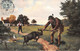 Delcampe - ¤¤   -   Lot De 4 Cartes  -  Illustrateur  -  Chasse, Chasseur, Lapins, Chiens, Cerf.........   -  ¤¤ - Chasse