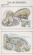 Russia 1987 WWF Polar Bears 4 Maxicards (58282) - Arctic Wildlife