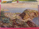 Delcampe - 9 Cartes Postales Monaco Monte-Carlo. Palais Du Prince Théâtre Cathédrale Musée Océanographique Principauté - Colecciones & Lotes