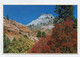 AK 095016 USA - Utah - Zion National Park - Checkerboard Mesa - Zion