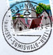 Bahnpost "* BAHNPOST * / RAMSEI - SUMISWALD - HUTTWIL"  (BP0016) - Railway