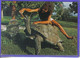 Carte Postale  Afrique Seychelles  Giant Tortoise On Bird Island    Très Beau Plan - Seychelles