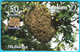 BEES ... Slovenian Old Rare Card * Honeybee Abeille Bee Biene Abeja Ape Bienen Api Abejas Abelhas Abeilles Honeybees - Honeybees