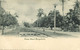 British Guiana, Guyana, Demerara, GEORGETOWN, Camp Street (1900s) Postcard (1) - Guyana (ehemals Britisch-Guayana)