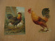 Galletas Y Bizcochos Viñas + Other POULTRY Old Chromos Die-cuts Decoupis Chromo Decoupi Die-cut Year: ??? - Animaux