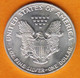 USA - 1 Dollar Silver Eagle - 1990 - 1979-1999: Anthony