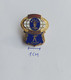 World Police & Fire Games Skeet Archery PIN 12/9 - Archery