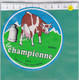 A2397 FROMAGE FONDU LA CHAMPIONNE 140gr 40% - Cheese