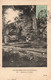 CPA NOUVELLE CALEDONIE - Ile Des Pins - Pépinière D'Uro - E B - Oblitéré A Bruxelles En 1913 - Nieuw-Caledonië