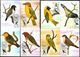 1983 Sao Tome Bird,Vögel,Oiseau,Aves,Ucelli,Owl,Cuckoo,Dove,Oriole,21 Maxi Cards - Cuckoos & Turacos