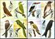 1983 Sao Tome Bird,Vögel,Oiseau,Aves,Ucelli,Owl,Cuckoo,Dove,Oriole,21 Maxi Cards - Cuco, Cuclillos