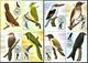 1983 Sao Tome Bird,Vögel,Oiseau,Aves,Ucelli,Owl,Cuckoo,Dove,Oriole,21 Maxi Cards - Cuckoos & Turacos
