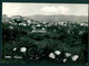 CLG388 - VELLETRI PANORAMA 1962 - Velletri