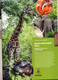 Revue Coop Voyage En Suisse Theme Elephant Zoo Bale + Bon Reduction - Autres & Non Classés