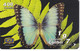 TARJETA DE COSTA RICA DE UNA MARIPOSA (BUTTERFLY) NUEVA-MINT - Schmetterlinge