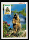 ANDORRA 2007 Véritable Carte Maximum Nature  MARMOTTE  OPJ Illustrée 20-01-2007 - Maximum Cards